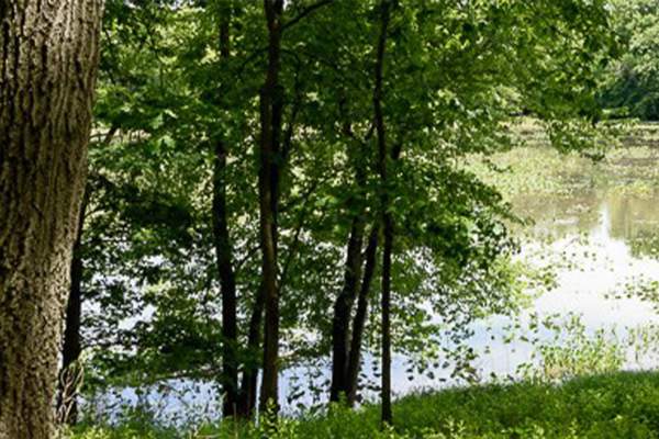Hobart Prairie Grove Trails - Indiana Dunes National Park