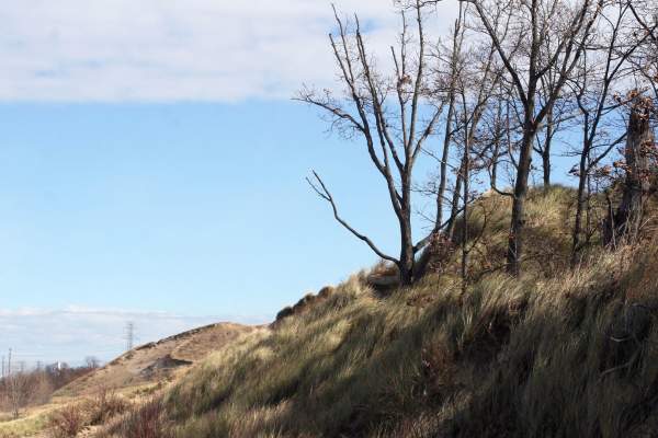 Mount Baldy - Indiana Dunes National Park