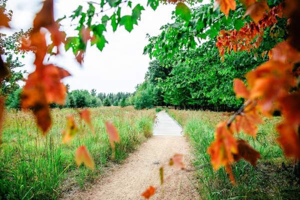 Jodi Maguire Named SPACVB New Executive Director