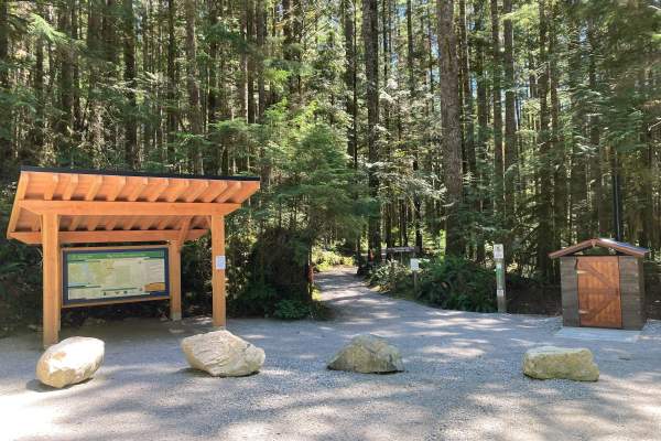 Sunshine Coast Tourism Unveils Upgrades to Big Tree Recreation Area