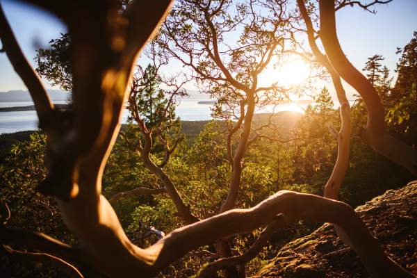 Annie Wise Appointed Executive Director for Sunshine Coast Tourism