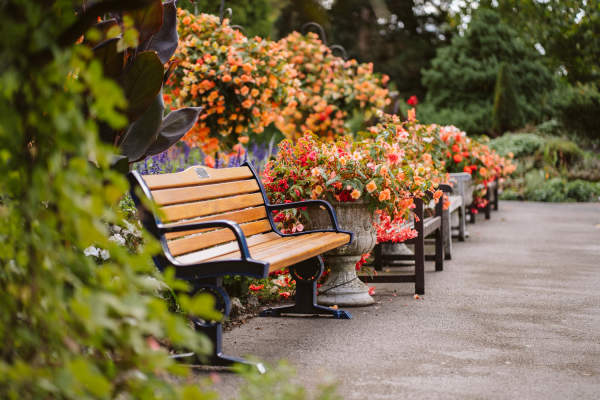 Botanical Gardens at Singleton