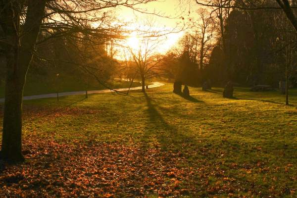 Singleton Park in the winter
