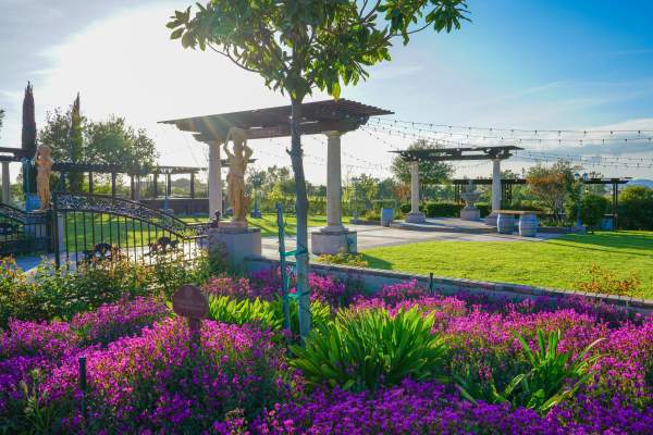 Botanical Blooms, Wellness Experiences, Make Temecula Valley the Ultimate Spring Getaway