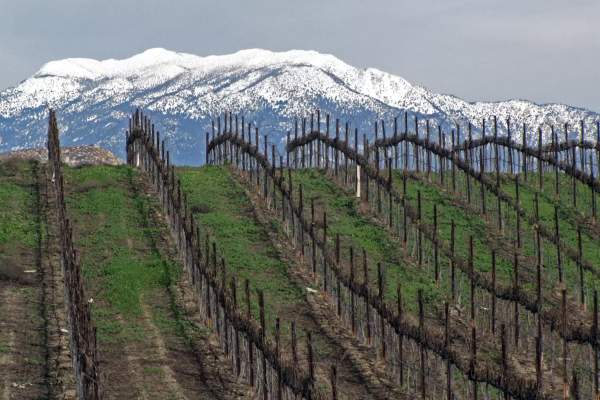 Forget Napa, Temecula Is the Underrated Wine Region to Visit in 2024