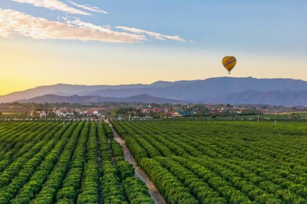 A 10-Day Southern California Road Trip