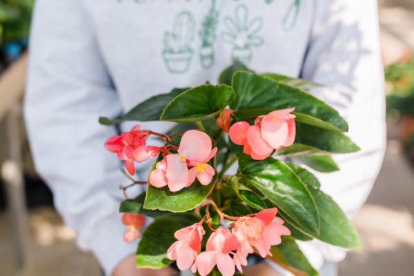 Get Your Hands Dirty This Spring