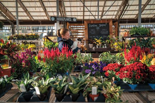 Hands-On Adventures & Hidden Gems in Union County, Ohio