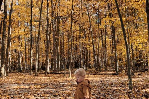 Fall Park
