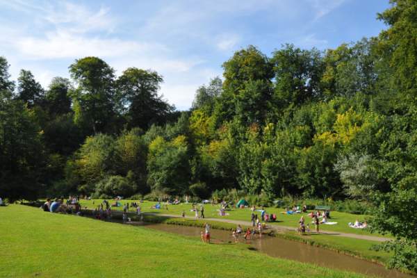 a stream with people and picnics surrounded by trees and blue skies in summer