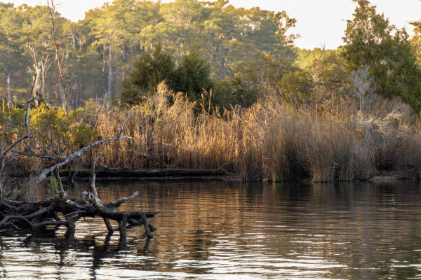 Goose Creek State Park