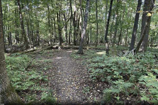 Homestead Loop Trail