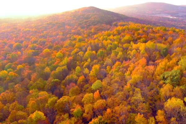 Rib Mountain Wausau Brilliant Fall Color