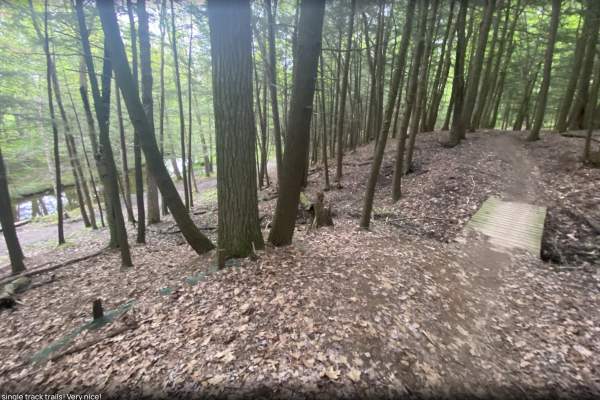 Sylvan Hill Park Look