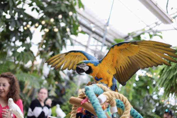 Downtown Market To Host Family-Focused Nature Day on January 25