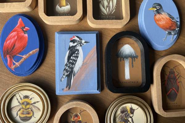 The Spring Nature Makers Market Returns to Blandford Nature Center