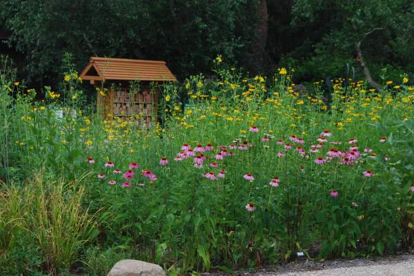 Grow Your Knowledge of Plants and Plant Communities with the Kellogg Bird Sanctuary, Area Experts