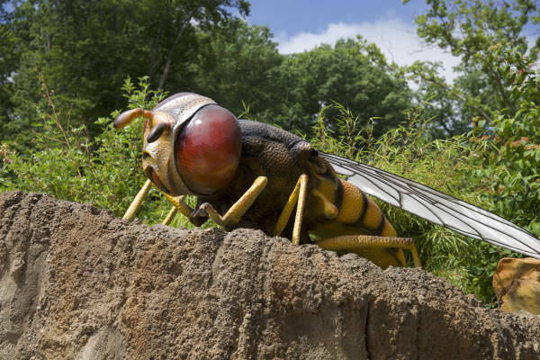 John Ball Zoo Displaying Larger-Than-Life Animatronic Pollinators Starting July 14
