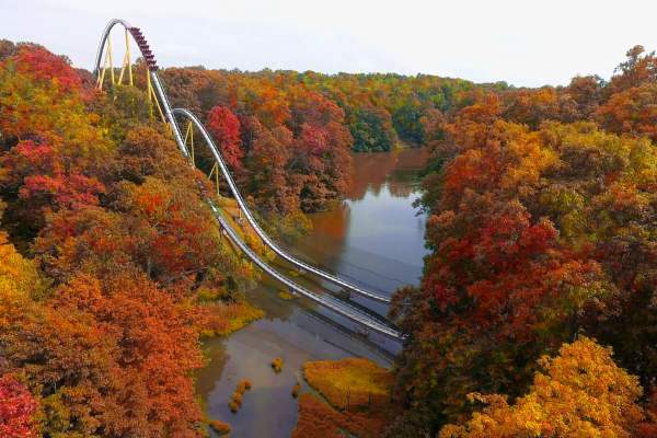 Fall Happenings in Williamsburg