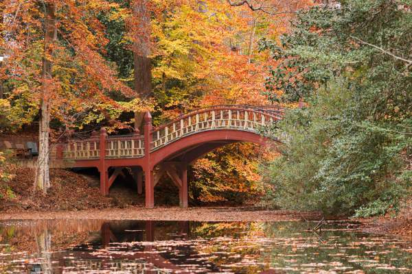 Where to See Fall Foliage in Williamsburg