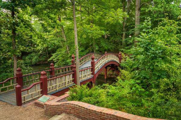 Celebrate Your Grad in Style: Fun Things to Do During William & Mary Graduation Weekend