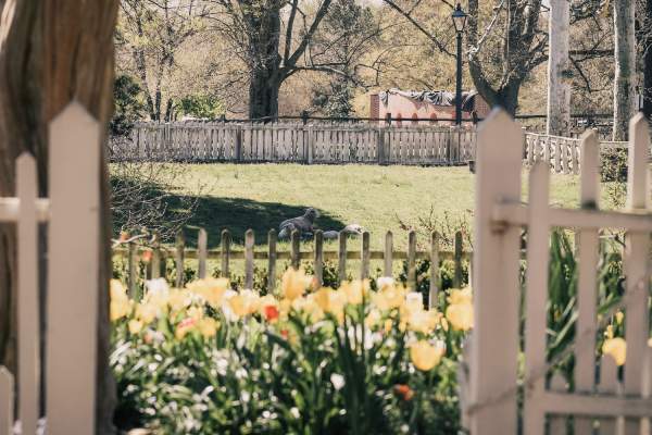 Top Ways to Embrace Spring in Williamsburg
