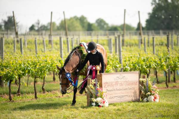 Derby at the Vineyard: A Fusion of Equestrian Excellence and Vineyard Charm