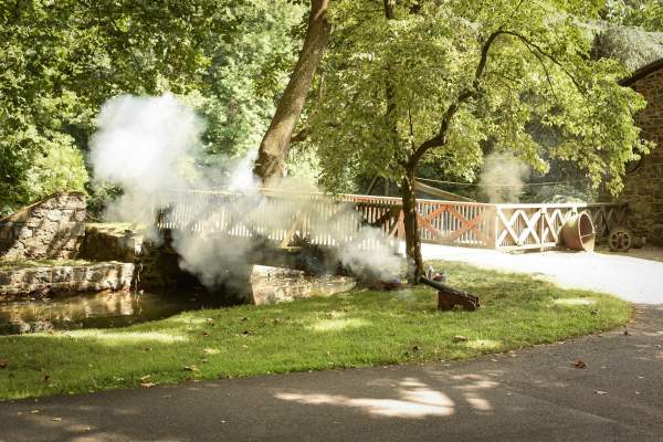 Discover History and Nature at Hagley Museum This Summer