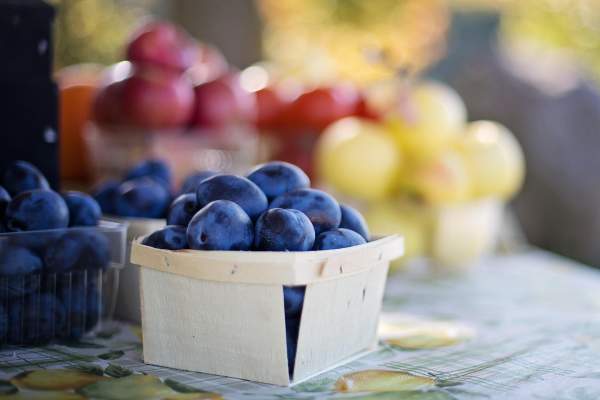 Pick, Snip & Stroll: Summer Fun Returns to Ramsey's Farm