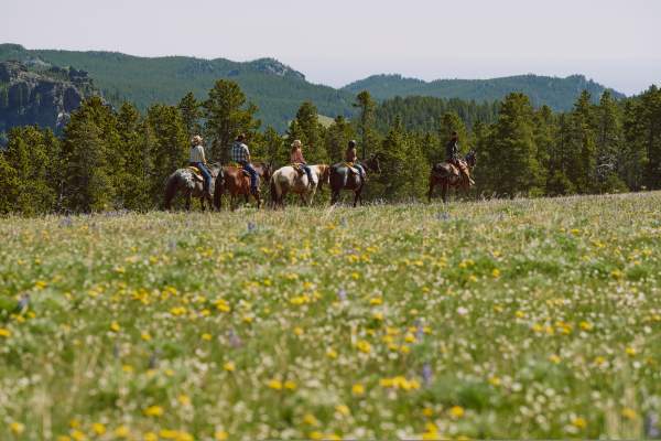 New Appointments and Leadership Updates to the Wyoming Tourism Board