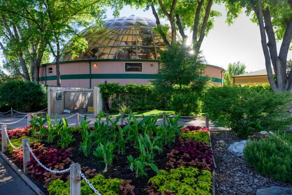 Reptile Gardens