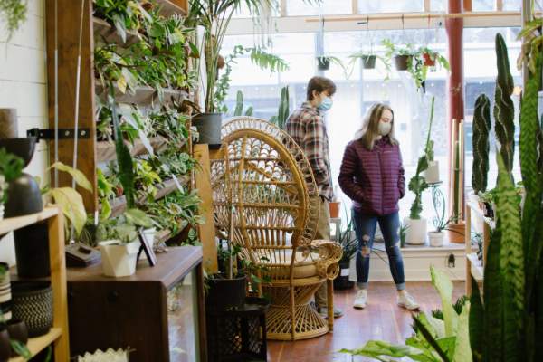 A Modern Plantsman