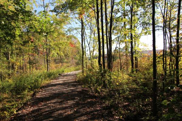 Heartland Forest
