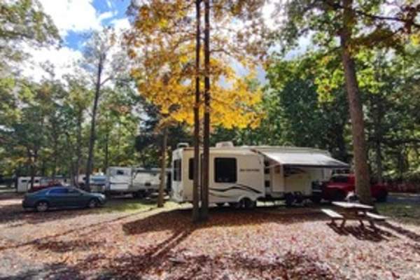 Fort Valley Ranch Campground and Cabins