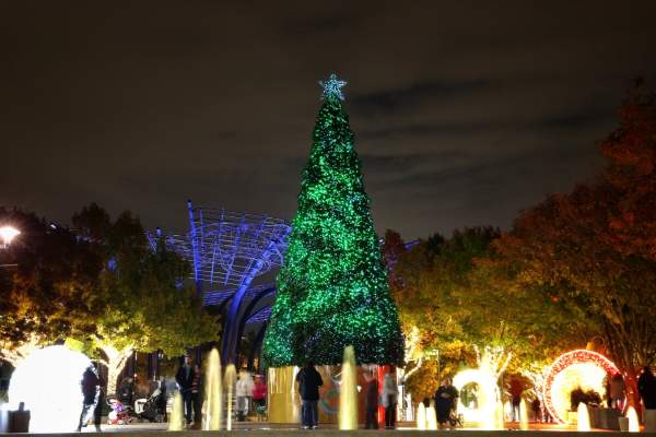 Addison Circle Holiday Tree Lighting