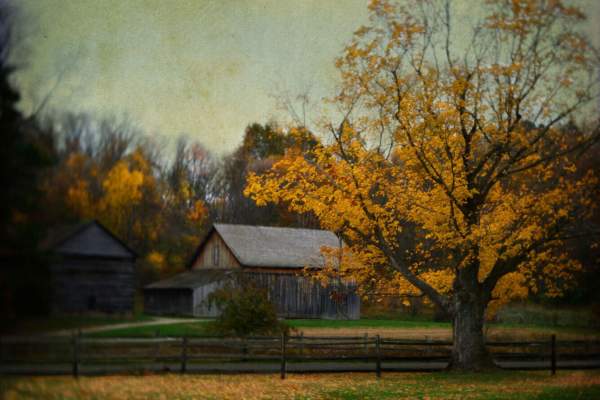 All Hale’s Eve: Ghosts and Legends of the Western Reserve