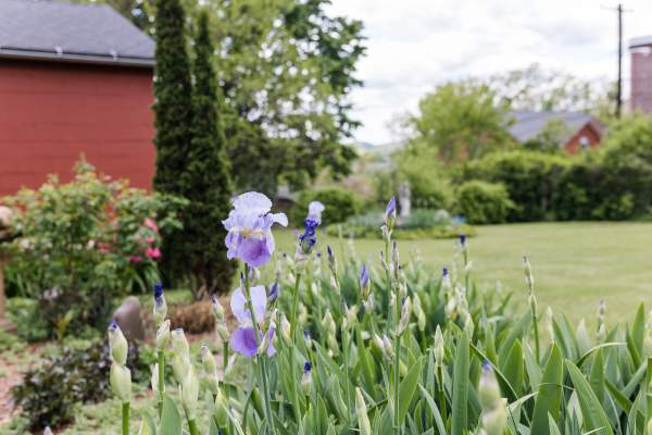 Cumberland Garden Club Tour 2025
