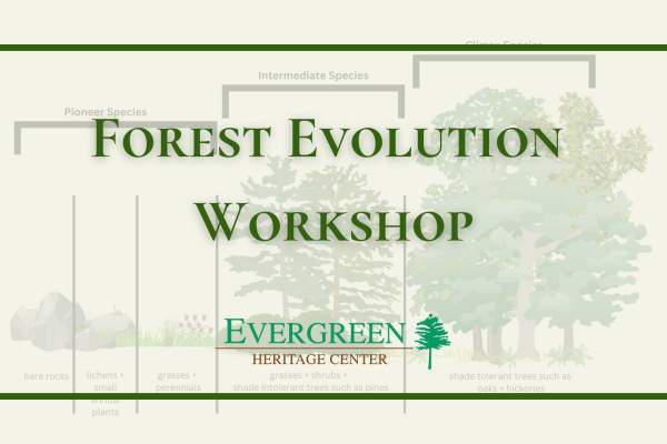 Forest Evolution Workshop