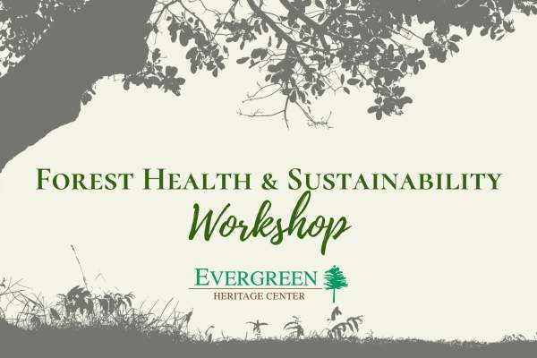 Forest Health & Sustainability Workshop