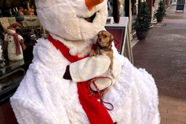 Meet & Great with Frosty the Snowman