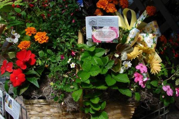 Harvey's Florist & Greenhouses, Inc.