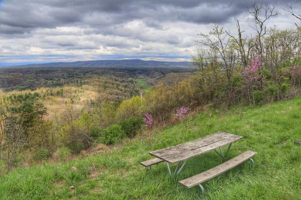 Banner Overlook