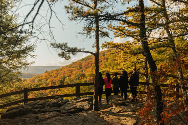 Canyon Overlook