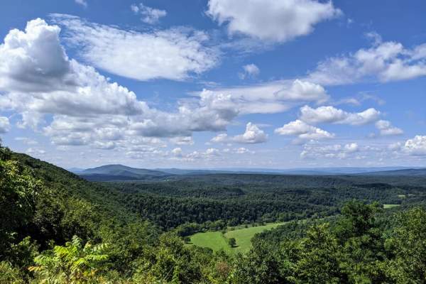 Log Roll Overlook