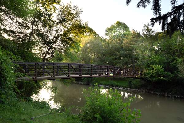 Wilson Park