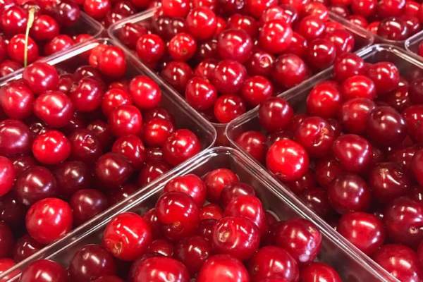 Wasem's Fruit Farm