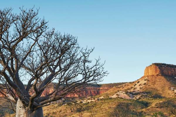 The Kimberley Collection