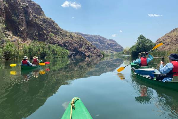 Go Wild Adventure Tours