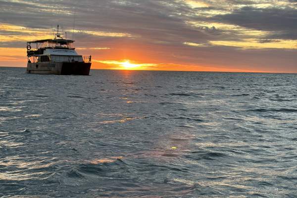 One Tide Charters