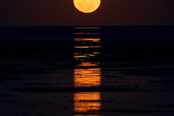 Staircase to the Moon